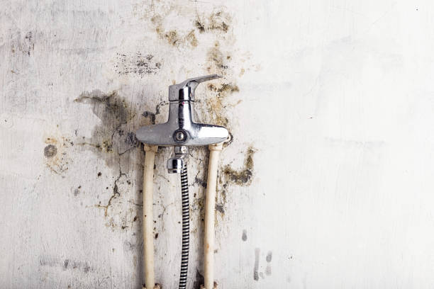 Best Emergency Mold Removal  in Matheny, CA