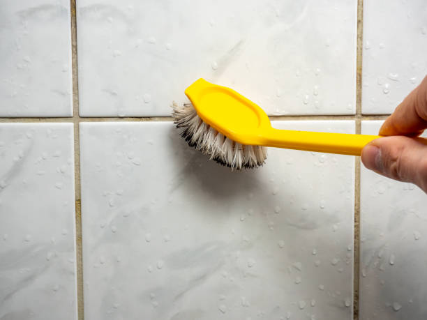 Attic Mold Removal in Matheny, CA