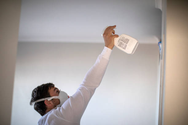 Best Local Mold Removal Service  in Matheny, CA