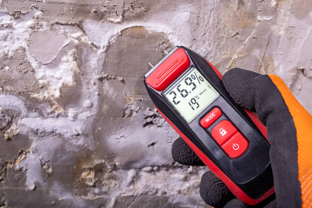 Best Toxic Mold Removal  in Matheny, CA