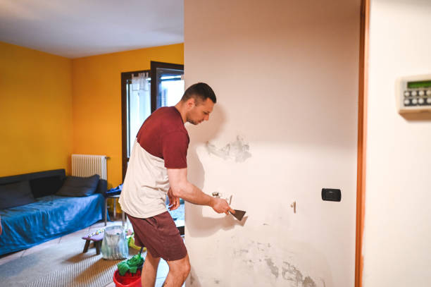 Best Toxic Mold Removal  in Matheny, CA