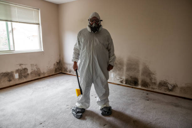 Best Professional Mold Removal  in Matheny, CA